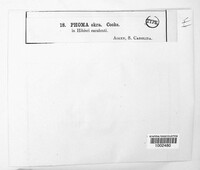 Image Associated With the Occurence